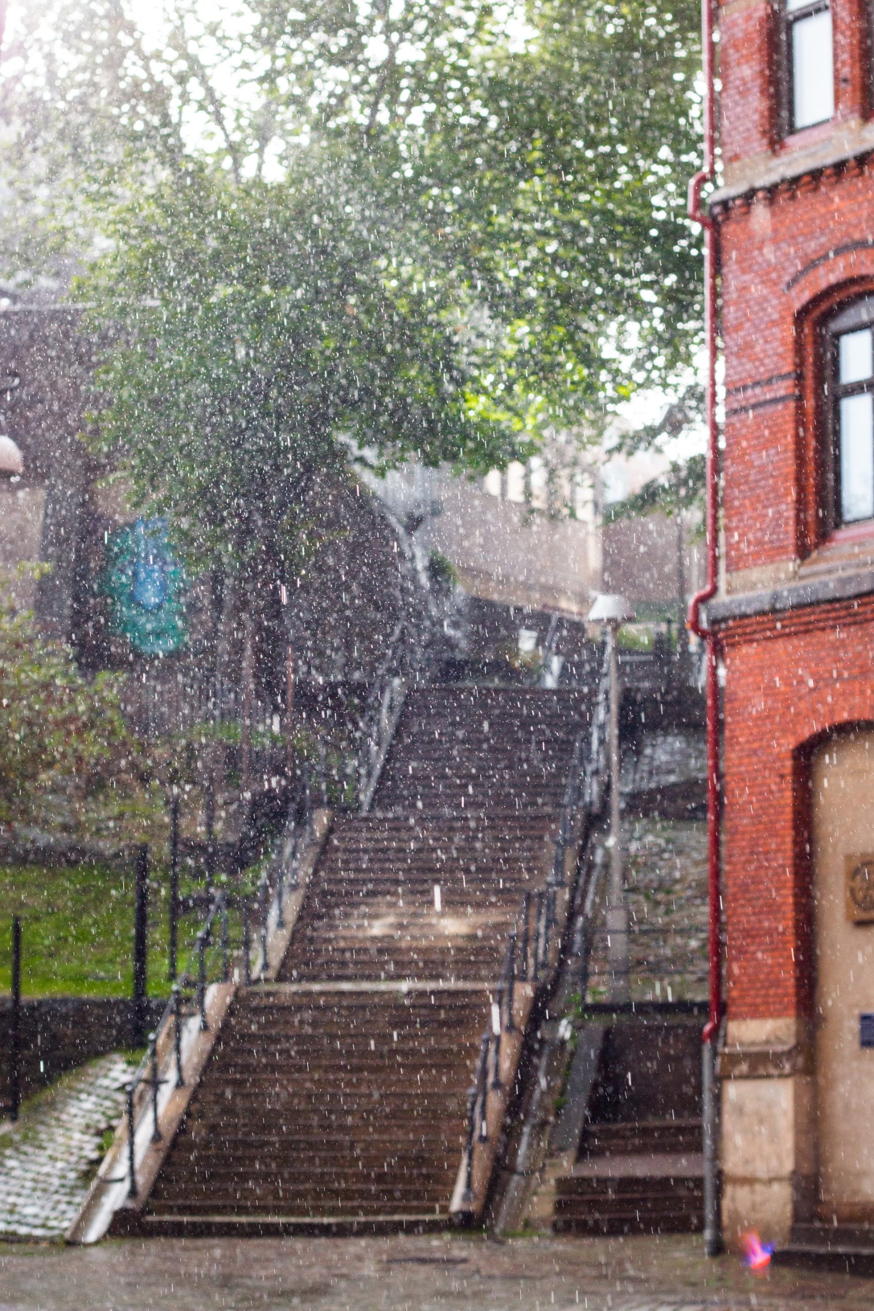 恵みの雨