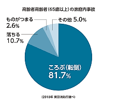 家庭内事故(高齢者）