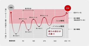 睡眠の仕組み