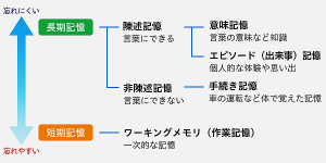 超短期記憶