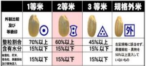 等級確認