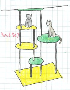 キャットウォーク