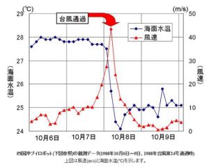 台風通過と海面温度の変化