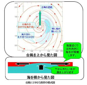 台風にともなう湧昇