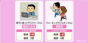 エネルギー使用割合