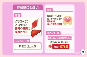 貯蔵量にも違い